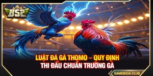 Luật Đá Gà Thomo – Quy Định Thi Đấu Chuẩn Trường Gà