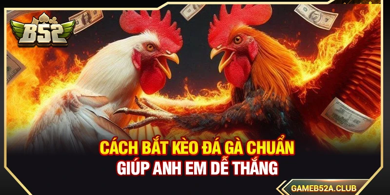 Cách Bắt Kèo Đá Gà Chuẩn Giúp Anh Em Dễ Thắng