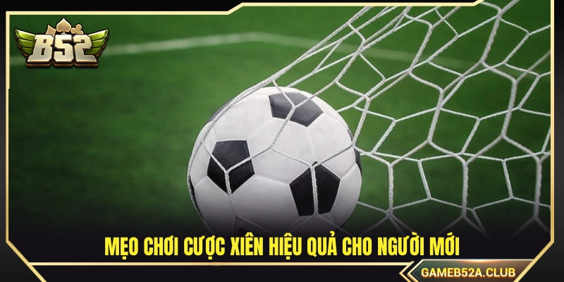 Bí kíp soi kèo xiên bất bại giúp tân thủ tối ưu hóa lợi nhuận