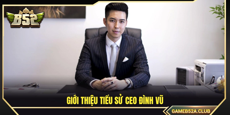 Sơ lược về cuộc đời và sự nghiệp CEO Đình Vũ